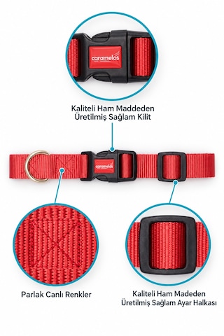 Caramelos İsimli Köpek Tasması, Ayarlanabilir Yavru, Mini, Orta Ve Büyük Irk Köpek Tasması, Kırmızı