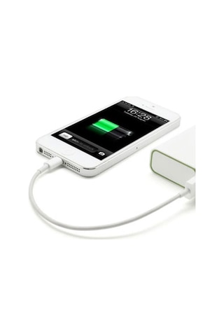 30Cm 4 Mini 2 3 Air 2 Usb Kablo 2A Data Şarj 0.3M (533632205)