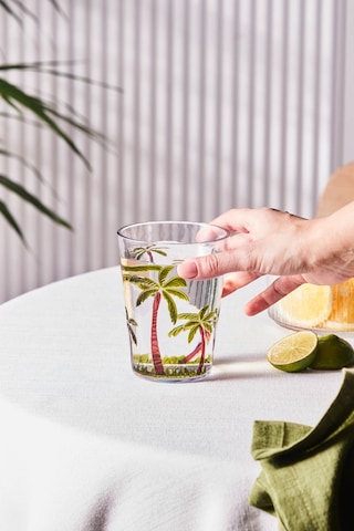 Karaca Palmera Akrilik Su Bardağı 430 Ml Şeffaf Şeffaf