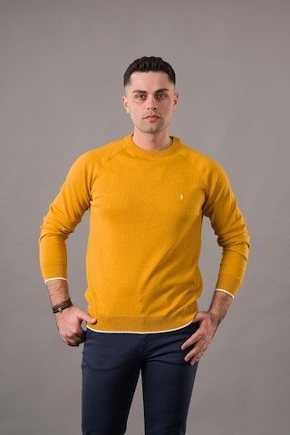 San&fa Regular Fit Bisiklet Yaka Pamuklu Erkek Triko Kazak Hardal