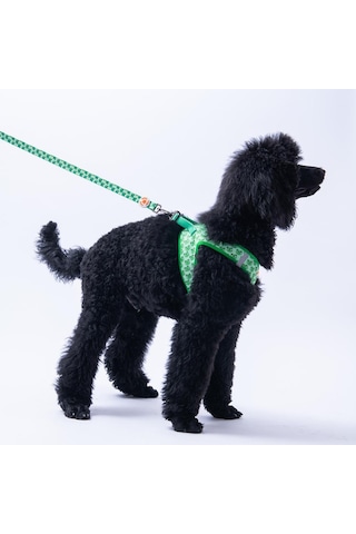 Frog Leash Kurbağa Desenli Kedi Köpek Sevk & Gezdirme Kayışı Köpek Uzatma Tasması-1,5cm Yeşil