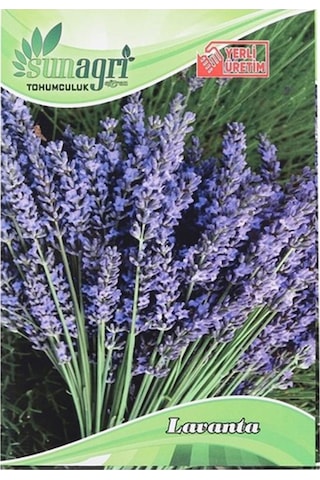 Tohumculuk Lavanta Çiçeği Tohumu Ata Tohum