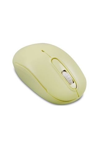 Everest SMW-666 USB Optik Kablosuz Mouse