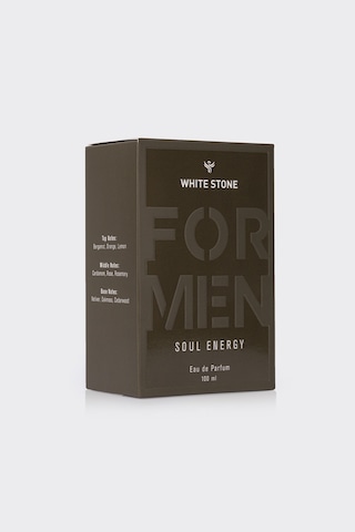 Soul Energy Erkek Eau De Parfum 100 Ml Fresh