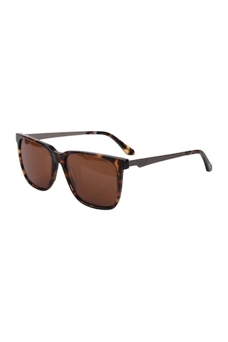 Roysse Ty107 C4 56 Unisex Güneş Gözlüğü