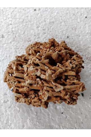 Spaghetti Kaya Dogaltaş, Akvaryum Taşı Dekorasyon Süsü , Delikli Taş Bahçe