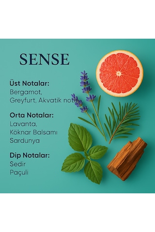 Machuu Sense Erkek Parfüm EDP 50 ML