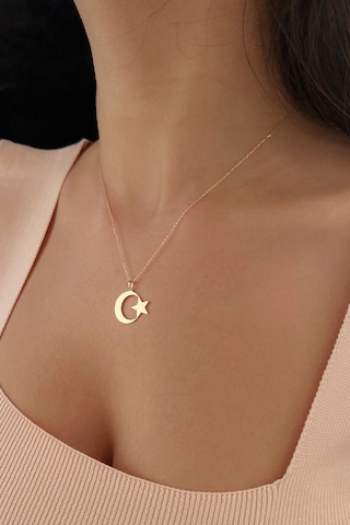 Fiyonk Kuyumculuk 14 Ayar Altın Taşsız Ay Yıldız Kolye 001