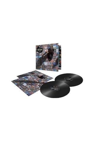 The Best Of Pink Floyd: A Foot In The Door Double Lp Plak