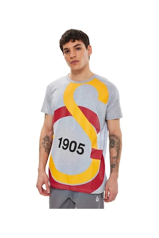 Gsstore Galatasaray Büyük Logolu Tee Gri T-shirt Bayrak Ve Uv Kutu Hediyeli Gri