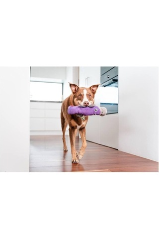 Reddingo Dayanıklı Yumuşak Köpek Oyuncağı - Ornitorenk