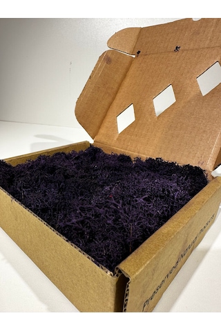 Reindermoss Şoklanmış Norveç Yosunu Terarium Yosunu Siyah 5 Kg.
