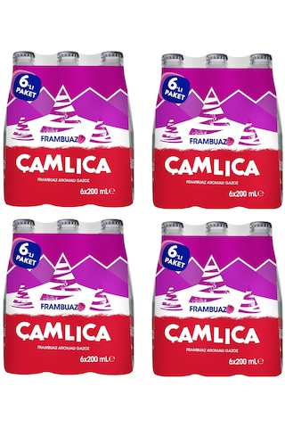 Çamlıca Frambuaz Aromalı Gazoz 200 Ml X 24 Adet