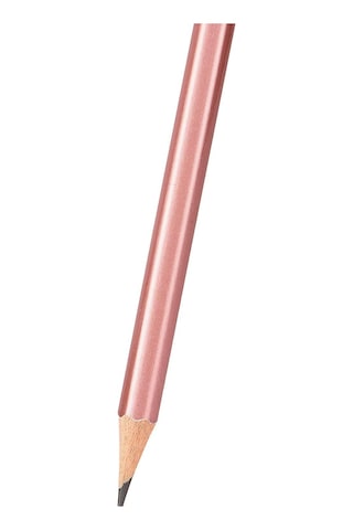 Rotring Metalik Kurşun Kalem Hb 12 Adet Siyah