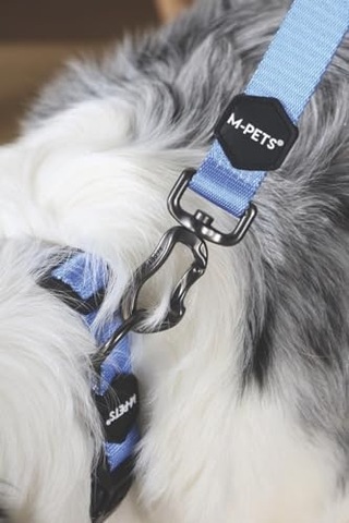 M-pets Gentle Dog Gezdirme Kayışı S Blue