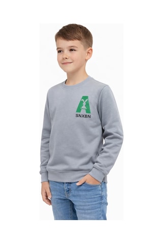 Baglan Erkek Çocuk Önü Baskılı Sweatshirt Bgl-st05234 Gri