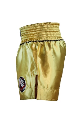 Dragondo Mt3033 Muaythai Şortu Gold Kick Boks Şortu Altın
