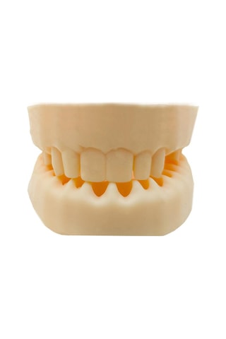Barışhan Medikal Silikon Çene Diş Dikiş Modeli Ortodontik Alt Üst Çene Periodontal Sütür Eğitim Modeli-4