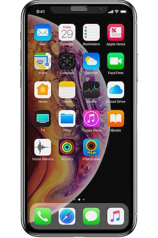 Apple Uyumlu iPhone Xs Max 6.5 Zore Anti-dust Privacy Temperli Ekran Koruyucu