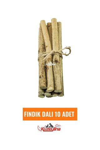 Kemirgenler İçin Fındık Dalı - 10 Adet