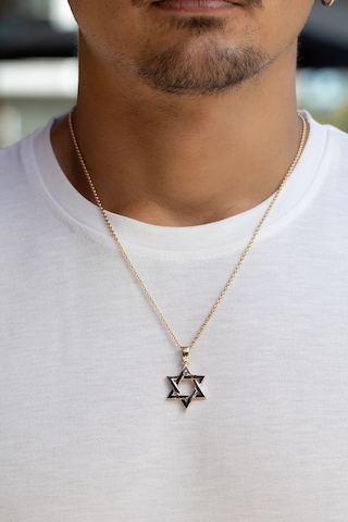 Uşaklıhafız 14 Ayar Altın Pentegram Erkek Kolye