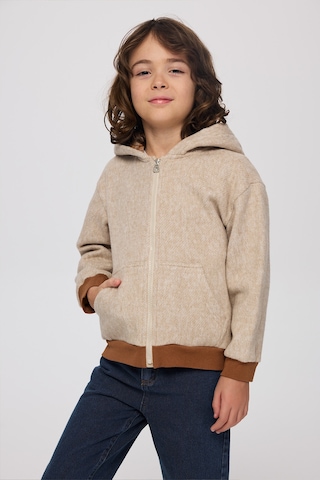 Panço Erkek Çocuk Fermuarlı Bej-melanj Sweatshirt Krem