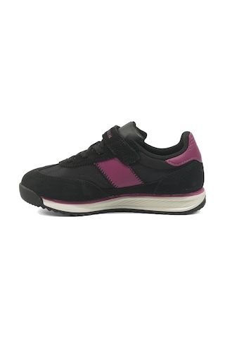 Uspoloassn U.s. Polo Assn. Lande Jr Siyah Kız Çocuk Sneaker Çok Renkli-fusya