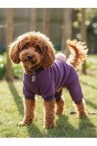 Pony Purple Ponpon Köpek Tulumu Şardonlu Polar Kumaş Küçük Irk Köpekler İçin Tüy Dökülmesini Mor L