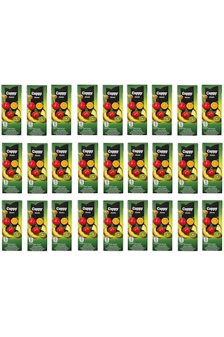 Cappy Atom Ballı Karışık Meyve Nektarı 200 Ml X 27 Adet