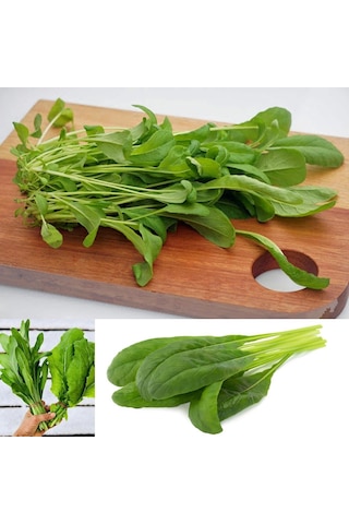 Uzakdoğu Mutfağından Doğal Mibuna Tohumu 20 Tohum