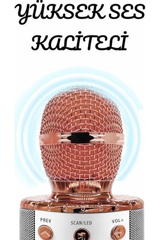Şarjlı Ve Uzun Pil Ömürlü Karaoke Mikrofon Usb Bellek Destekli Profesyonel Ses