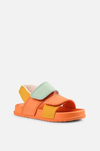 Vicco Krixi Hafif Kız Bebek Orange Sandalet Turuncu
