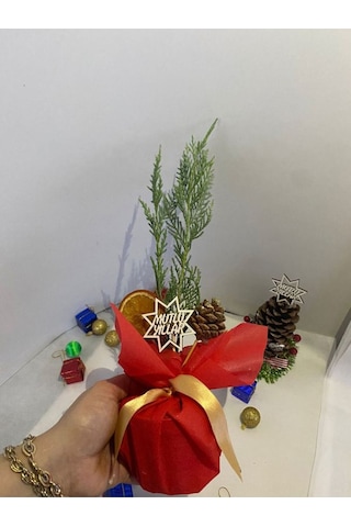 Yılbaşı Hediyesi Mini Boy Yılbaşı Ağacı Süslemeli Portakal+kozalak Dahildir15-30cm