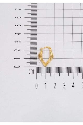 Bilezikci Köşeli Halka Altın Küpe Sarı Altın