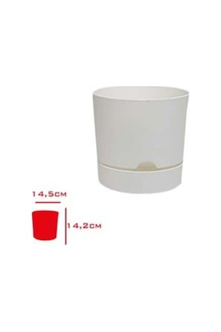 Polıwork Saksı Begonya 15 Cm Beyaz