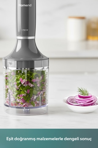 Homend Handmaid 1936H 1700 W Blender Seti