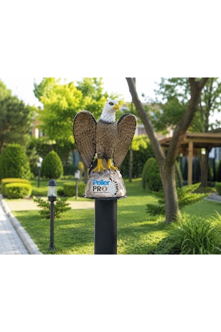 Kuş Kovucu Kartal Maketi