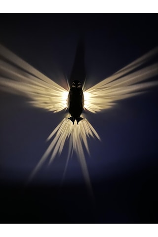 Kartal 3d Baskı Ile Üretilmiş Dekoratif Gece Lambası/aplik Siyah