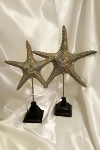 Dekoratif Traverten Zerafet Stone Deniz Yıldızı Biblo 2 Li Ayaklı
