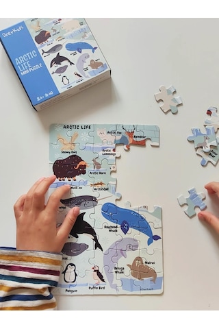Doerkids Kuzey Kutbu Hayvanları Mini Puzzle 40 Parça 4 Yaş