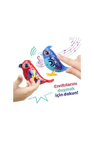 Digibirds İkili Paket Seri 2