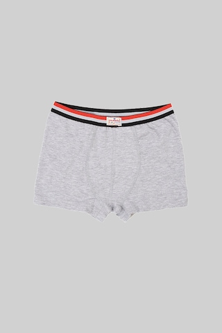Ceylanoğlu 12'li Gri Erkek Çocuk Likralı Sade Boxer-343-1 Gri