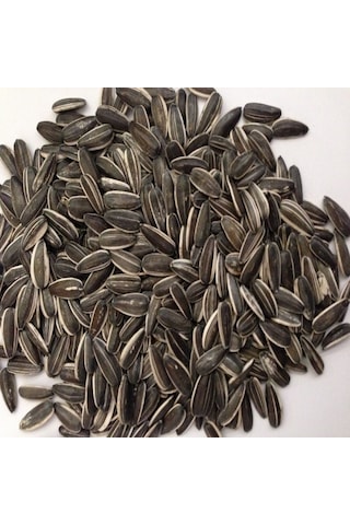 Doğal Siyah Çerezlik Çitlemelik Ayçiçeği Çekirdek Tohumu 2,5 Kg