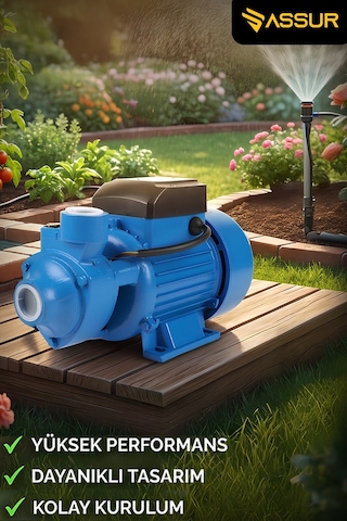 Assur Qb80 43m Basınç Yüksekliği 1 Hp Bakır Sargı Elektrikli Santrifüj Pompa Su Motoru-3150