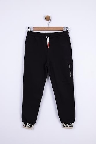 Erkek Çocuk Beli Paçası Lastikli Paçası Yazılı Effort Eşofman Altı-13352-siyah Siyah