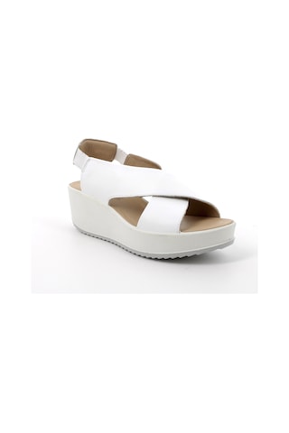 Sandalet Kadın Diğer 7665744 Igı&co Dcd 76657 Nappa Soft Bianco Beyaz