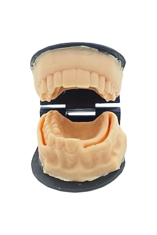 Barışhan Medikal Silikon Çene Diş Dikiş Modeli Ortodontik Alt Üst Çene Periodontal Sütür Eğitim Modeli-6