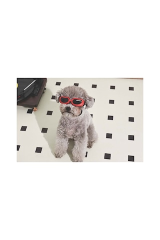 M-pets Sunny Daytrip Köpek Gözlüğü Kırmızı 15,2x4,9 Cm 244-54043.01
