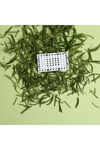 Petkit Pura Air Akıllı Koku Giderici Filtre