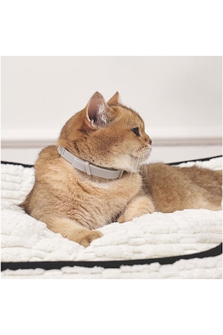 M-pets Keep Calm Calming Sakinleştici Kedi Tasması Gri 244-77004.01
